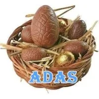ADAS DISTRIBUTION GROUP