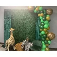 BLOSSOM RESIDENTIAL LLC