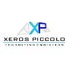 Xeros Piccolo Consulting Engineers Xeros Piccolo Consulting Engineers