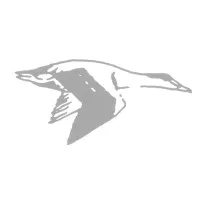 EIDER INVESTMENT, INC.