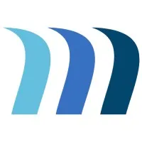 MaviTech Professional Services LLC
