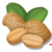 American Blanching Company