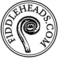 Fiddleheads Violin Studio