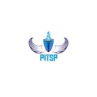 PITSP Digital Marketing Agency Rawalpindi