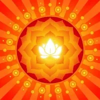 Lotus Holistic Medicine