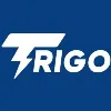 TriGo Electric TriGo Electric
