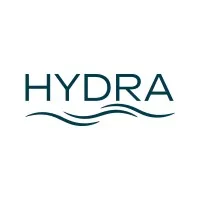 Hydra Management Consulting
