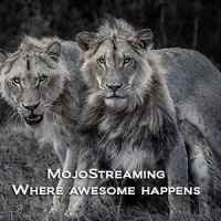 MojoStreaming Ltd