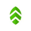 Neem Neem