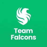 Team Falcons