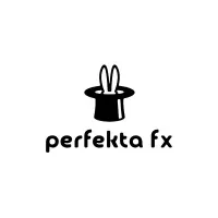 PERFEKTA FX