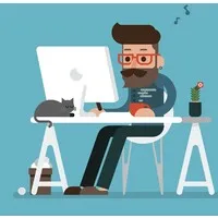 Independent / Freelancer