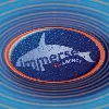 Immerse Agency Immerse Agency