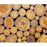 Goel Sales Corporation