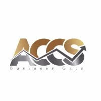 Access Capital Consulting Services