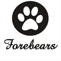 Forebears Global Services Private Limited
