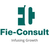 Fie-Consult