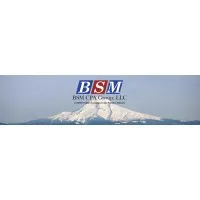 BSM CPA Group, LLC BSM CPA Group, LLC