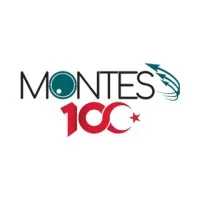 MONTES Dış Ticaret Limited Şirketi