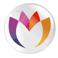 Millennium Stock Broking Private Limited