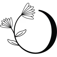 Organic Chef Catering Organic Chef Catering