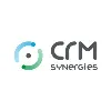 CRM Synergies Corp CRM Synergies Corp