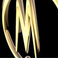 Meticulous, LLC Meticulous, LLC