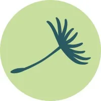 dandelion marketing LLC