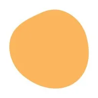 Saul's Light Foundation