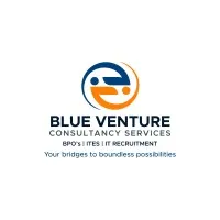 Blue Venture Consultancy Services