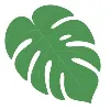 QSR Group
