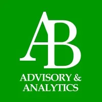AB Advisory & Analytics LLC