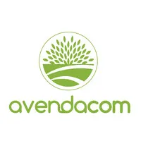 Avendaño Trading company SAC