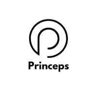 Princeps Solutions Pvt. Ltd.