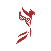 UC Berkeley Phoenix Consulting Group