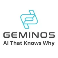 Geminos Software