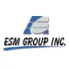 ESM Group Inc. ESM Group Inc.