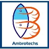 Ambrotechs Ambrotechs