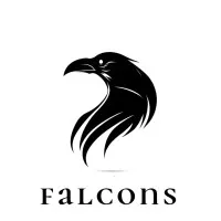 Falcons Beyond Imagination