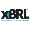 XBRL International, Inc.
