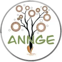Annge Consulting