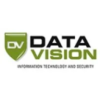 Data Vision