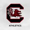 South Carolina Gamecocks South Carolina Gamecocks