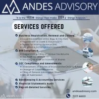 Andes Consulting Advisory Inc