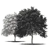 Elm Creek Environmental & Engineering Elm Creek Environmental & Engineering