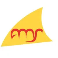 AMS - Advanced Management Solutions 