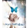 Beauty From Ashes™ Ministries Beauty From Ashes™ Ministries