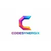 CodeSynergiX CodeSynergiX