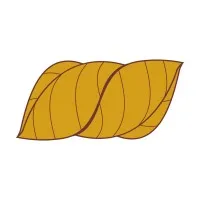 Imperion Tobacco Trading FZE