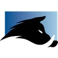 BLITZ Projetos Especiais